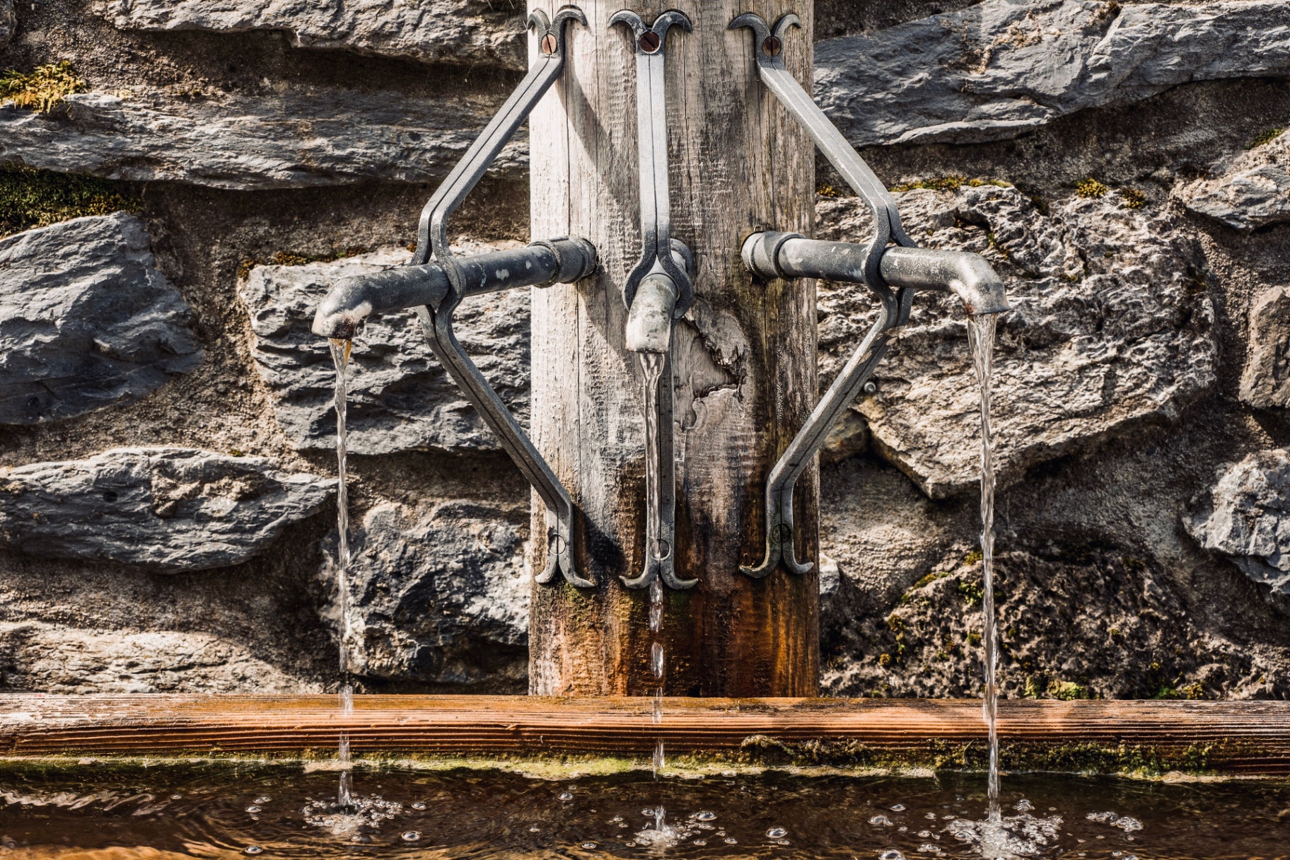 Public water systems & sanitary survey readiness